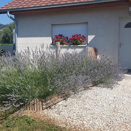 Vakantiehuis Maison De La Maconniere Gerbaix